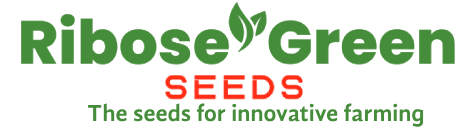 Ribose Green Seeds - Vegetables, Fruits and Flowers Seeds