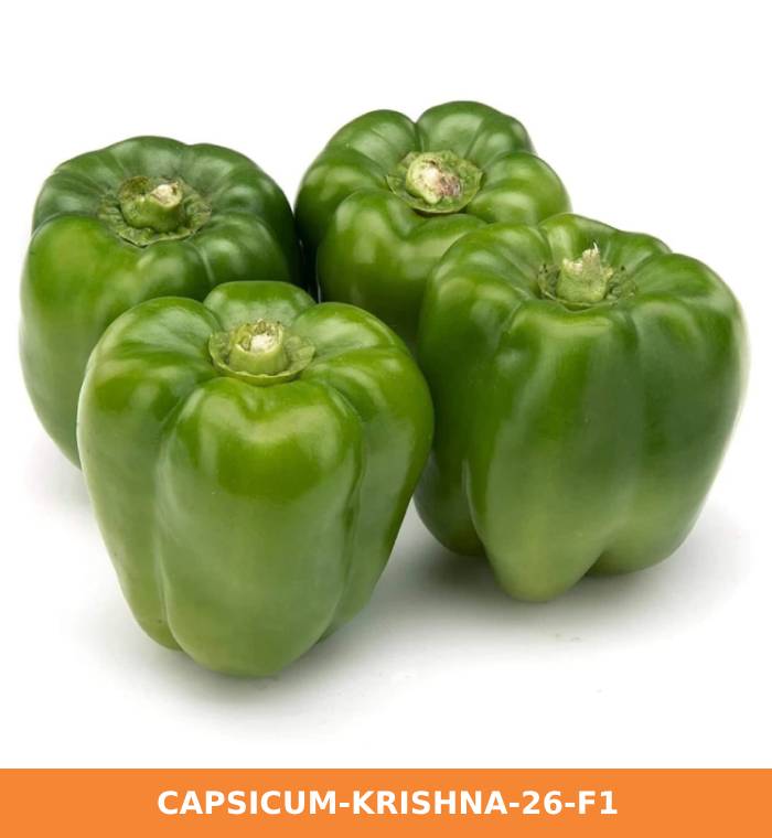 ribose-green-seeds-capsicum-krishna-26-f1